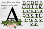 Preview: Alphabet- Tasse mit Banner und Blumen