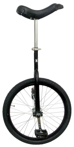 Fun unicycle 20 inch 46 cm unisex Black