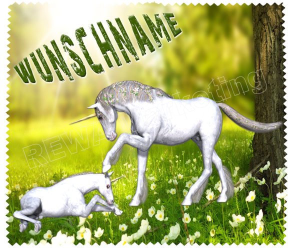 Glasses cleaning cloth - 2 unicorns on the meadow with desired names