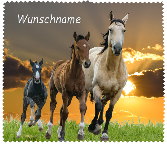 Glasses cleaning cloth - horse family in the sunset with desired name