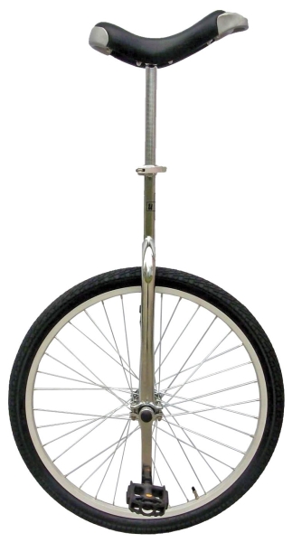 Fun unicycle 24 inch 53 cm unisex silver