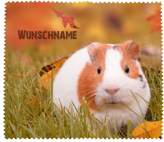 Brillenputztuch - lustiger Hamster im Herbst mit Wunschnamen